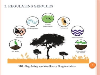 FRm assignment , ecosystemPPT final-1.pptx