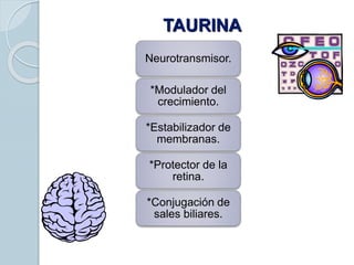 TAURINA
Neurotransmisor.
*Modulador del
crecimiento.
*Estabilizador de
membranas.
*Protector de la
retina.
*Conjugación de
sales biliares.
 