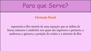 Para que Serve?
    Fórmula Floral
 