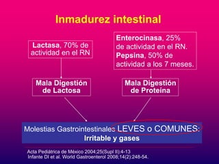 Inmadurez intestinal 
Lactasa, 70% de 
actividad en el RN 
Enterocinasa, 25% 
de actividad en el RN. 
Pepsina, 50% de 
actividad a los 7 meses. 
Mala Digestión 
de Lactosa 
Mala Digestión 
de Proteína 
Molestias Gastrointestinales LEVES o COMUNES: 
Irritable y gases 
Acta Pediátrica de México 2004;25(Supl II):4-13 
Infante DI et al. World Gastroenterol 2008;14(2):248-54. 
 
