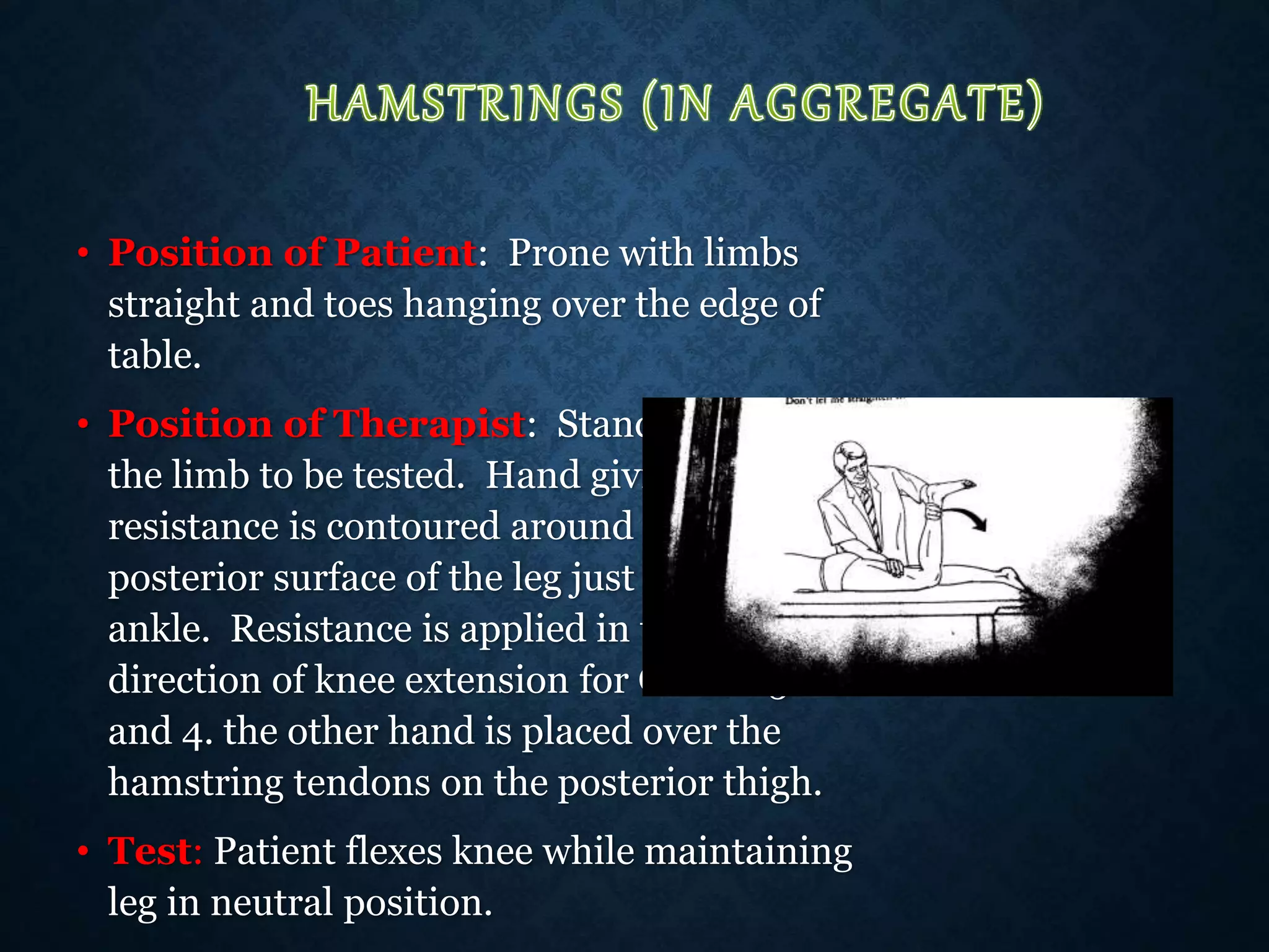 • Position of Patient: Prone with limbs
straight and toes hanging over the edge of
table.
• Position of Therapist: Standing next to
the limb to be tested. Hand giving
resistance is contoured around the
posterior surface of the leg just above the
ankle. Resistance is applied in the
direction of knee extension for Grades 5
and 4. the other hand is placed over the
hamstring tendons on the posterior thigh.
• Test: Patient flexes knee while maintaining
leg in neutral position.
 