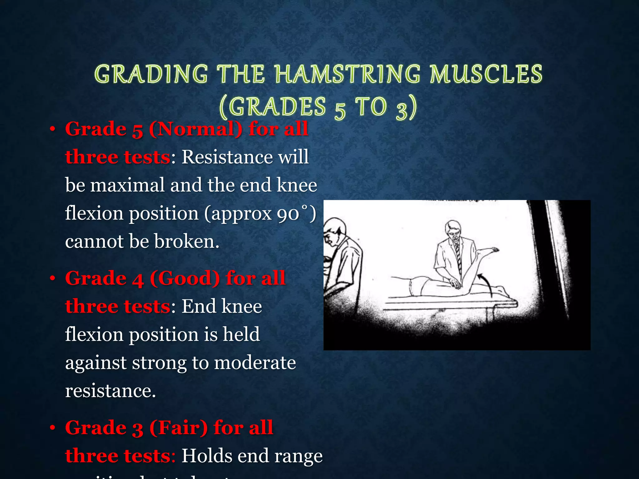 • Grade 5 (Normal) for all
three tests: Resistance will
be maximal and the end knee
flexion position (approx 90˚)
cannot be broken.
• Grade 4 (Good) for all
three tests: End knee
flexion position is held
against strong to moderate
resistance.
• Grade 3 (Fair) for all
three tests: Holds end range
 