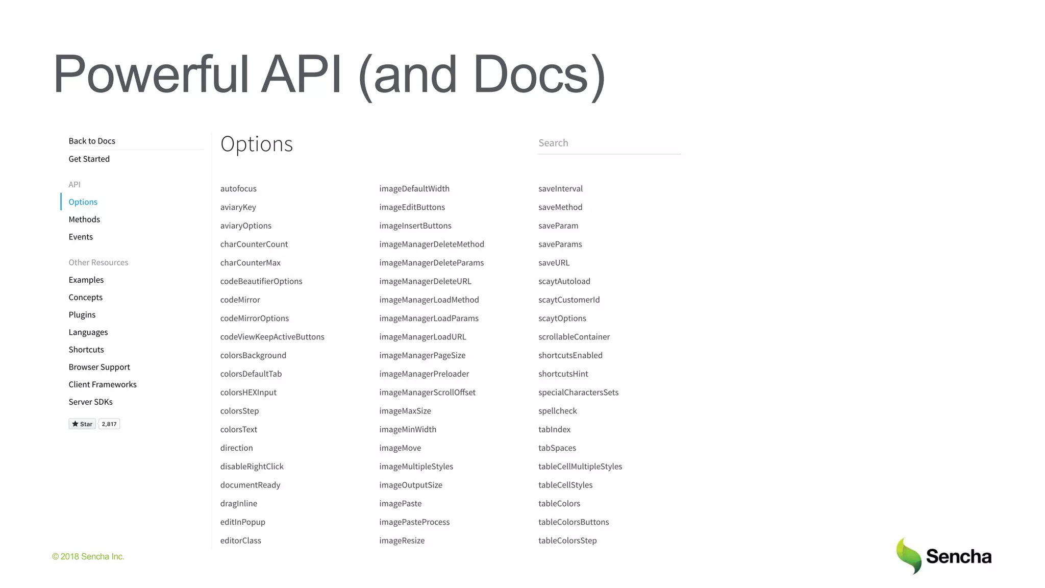 © 2018 Sencha Inc.
Powerful API (and Docs)
 