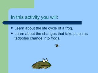 In this activity you will: Learn about the life cycle of a frog. Learn about the changes that take place as tadpoles change into frogs. 