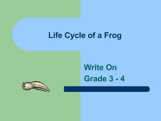 Life Cycle of a Frog Write On  Grade 3 - 4   