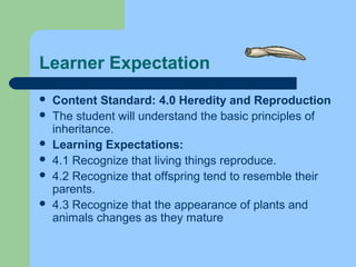 Learner Expectation
 Content Standard: 4.0 Heredity and Reproduction
 The student will understand the basic principles of
inheritance.
 Learning Expectations:
 4.1 Recognize that living things reproduce.
 4.2 Recognize that offspring tend to resemble their
parents.
 4.3 Recognize that the appearance of plants and
animals changes as they mature
 