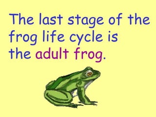 The last stage of the
frog life cycle is
the adult frog.
 