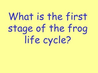 What is the first
stage of the frog
   life cycle?
 