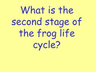 What is the
second stage of
 the frog life
    cycle?
 