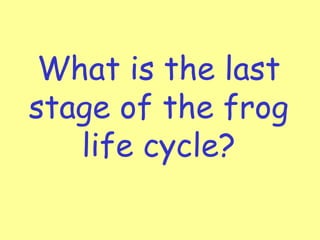 What is the last
stage of the frog
life cycle?