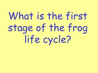 What is the first
stage of the frog
life cycle?
