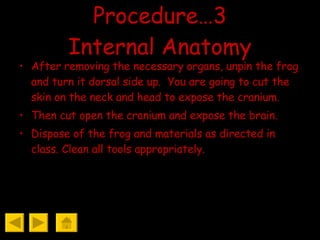 Frog Dissection | PPT