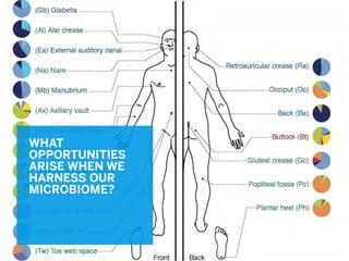 WHAT
OPPORTUNITIES
ARISE WHEN WE
HARNESS OUR
MICROBIOME?
 