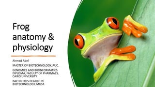 Frog
anatomy &
physiology
Ahmed Adel
MASTER OF BIOTECHNOLOGY, AUC.
GENOMICS AND BIOINFORMATICS
DIPLOMA, FACULTY OF PHARMACY,
CAIRO UNIVERSITY
BACHELOR'S DEGREE IN
BIOTECHNOLOGY, MUST.
 