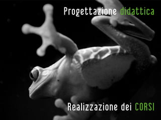 Progettazione didattica




Realizzazione dei CORSI
 