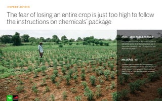 AN01 - VEGETABLE FARMER
“The directed amount on the bottle might not
kill all the pests. So if the instructions say 1
cup of the chemical, I use 1’5 cups to be sure
there are no pests.”
AN.EXP.01 - AI
“Farmers use excessive and unnecessary
amounts of fertilizer to make sure they have a
good season. I told a farmer he should only
use 120 kg of Urea, but he ended up using
450kg of Urea.”
The fear of losing an entire crop is just too high to follow
the instructions on chemicals’package
EXPERT ADVICE
 
