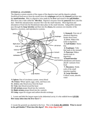 Frog dissection lab answer key | PDF