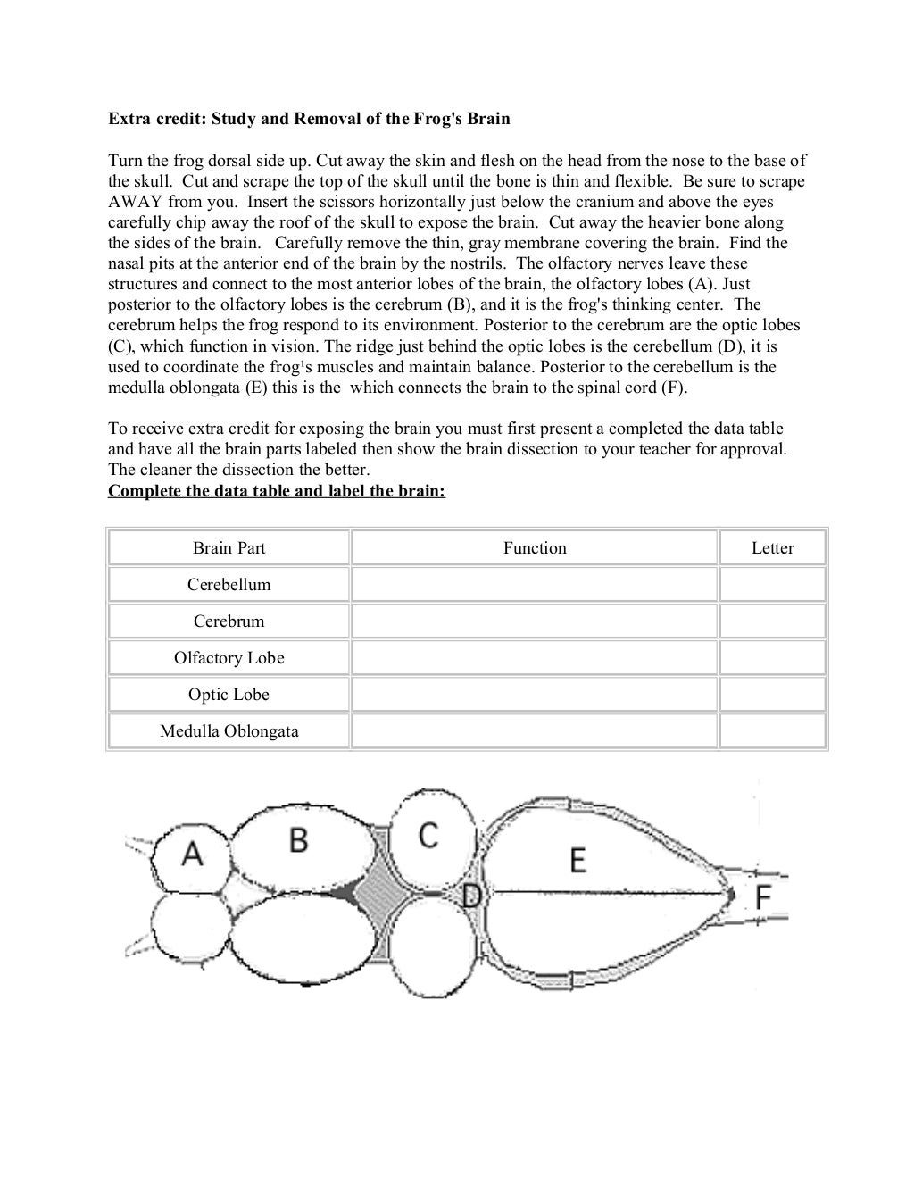 Frog dissection lab answer key
