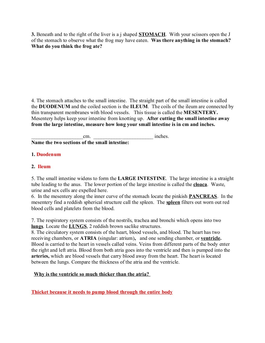 Frog dissection lab answer key