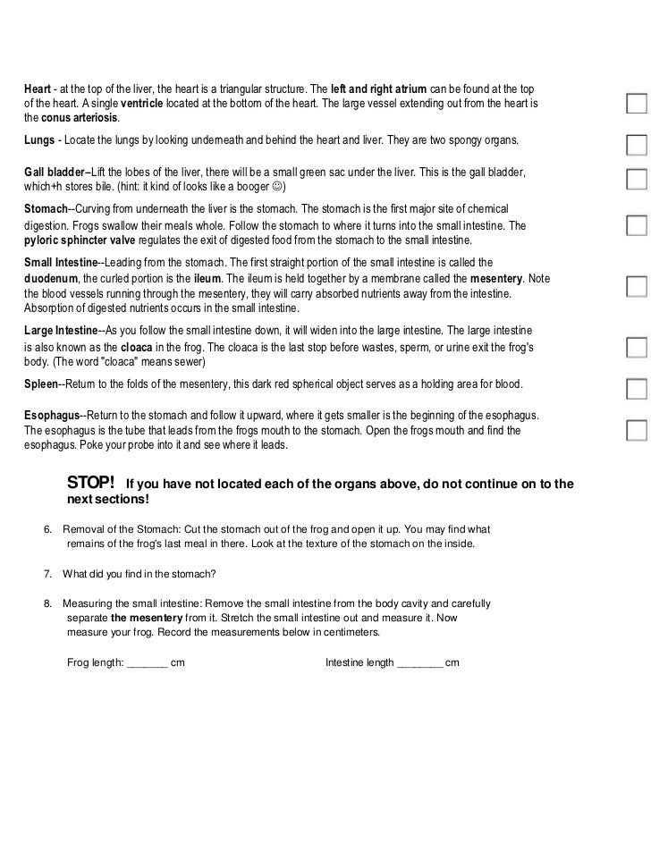 Frog Dissection Pre Lab Worksheet