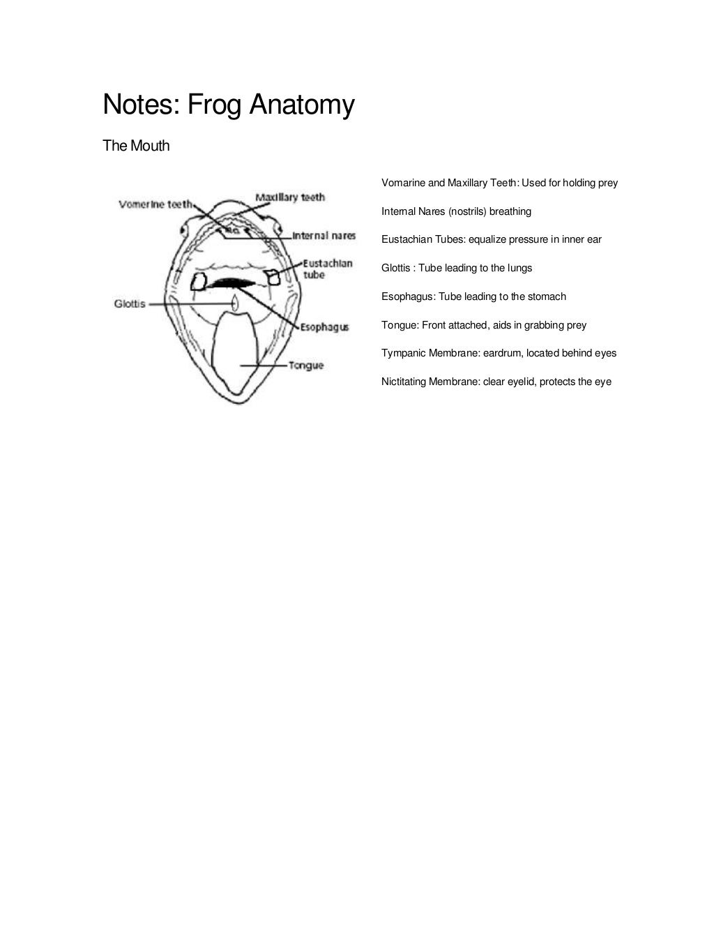 Frog Dissection Pre Lab Worksheet