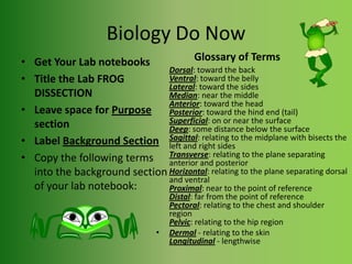 Biology Do NowGet Your Lab notebooksTitle the Lab FROG DISSECTIONLeave space for Purpose sectionLabel Background SectionCopy the following terms into the background section of your lab notebook:Glossary of TermsDorsal: toward the backVentral: toward the bellyLateral: toward the sidesMedian: near the middleAnterior: toward the headPosterior: toward the hind end (tail)Superficial: on or near the surfaceDeep: some distance below the surfaceSagittal: relating to the midplane with bisects the left and right sidesTransverse: relating to the plane separating anterior and posteriorHorizontal: relating to the plane separating dorsal and ventralProximal: near to the point of referenceDistal: far from the point of referencePectoral: relating to the chest and shoulder regionPelvic: relating to the hip regionDermal - relating to the skinLongitudinal - lengthwise
