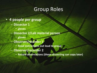 Its general function