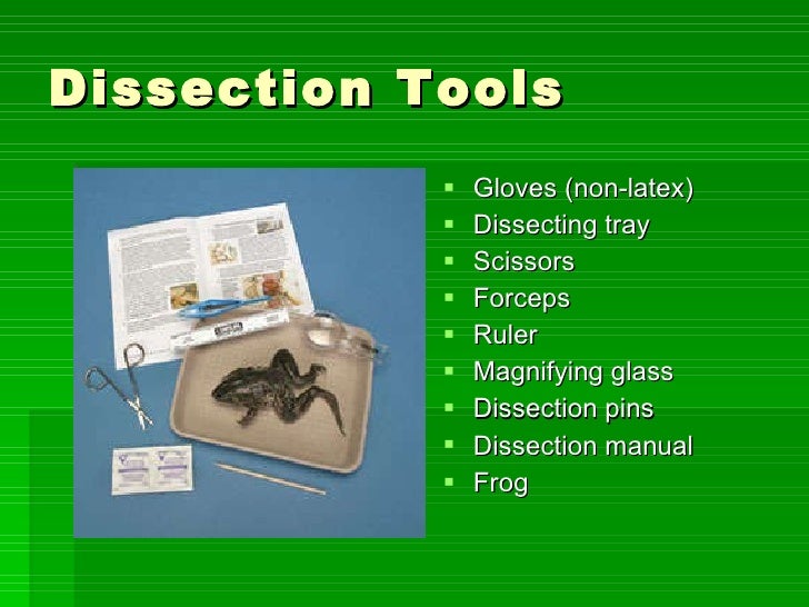 Frog Dissection Ppt