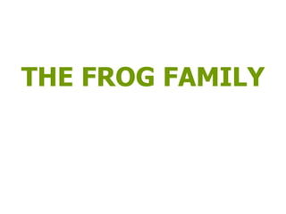 THE FROG FAMILY 