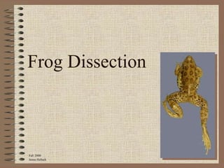 Frog Dissection



Fall 2000
Jenna Hellack
 