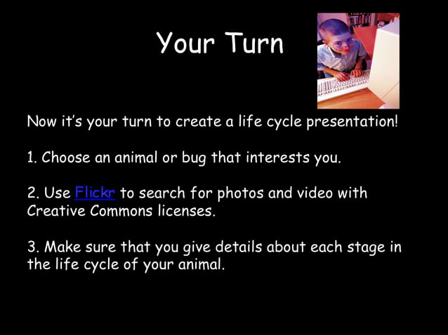 Frog Life Cycle | PPT