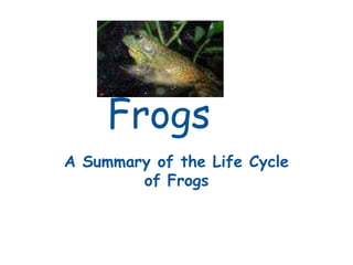 Frogs
A Summary of the Life Cycle
        of Frogs
 