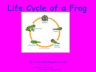 Life Cycle of a Frog




     By www.makemegenius.com
       www.makemegenius.com
            Free Science Videos for Kids
 
