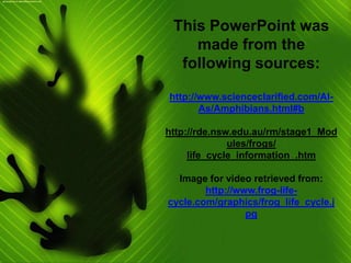 Life Cycle of a Frog | PPTX