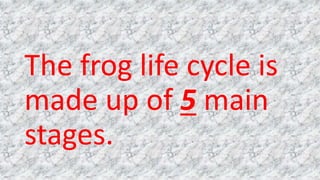 The frog life cycle is
made up of 5 main
stages.
 