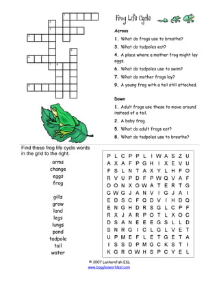 1
2
3

Across

4

1. What do frogs use to breathe?
3. What do tadpoles eat?

5

4. A place where a mother frog might lay
e...
