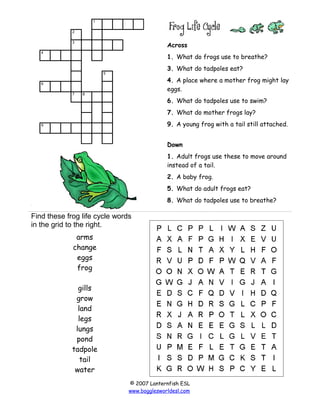 1
2
3

Across

4

1. What do frogs use to breathe?
3. What do tadpoles eat?

5

4. A place where a mother frog might lay
eggs.

6
7

8

6. What do tadpoles use to swim?
7. What do mother frogs lay?
9. A young frog with a tail still attached.

9

Down
1. Adult frogs use these to move around
instead of a tail.
2. A baby frog.
5. What do adult frogs eat?
8. What do tadpoles use to breathe?

Find these frog life cycle words
in the grid to the right.
arms
change
eggs
frog
gills
grow
land
legs
lungs
pond
tadpole
tail
water
© 2007 Lanternfish ESL
www.bogglesworldesl.com

 