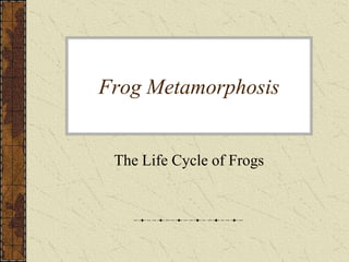 Frog Metamorphosis


 The Life Cycle of Frogs
 