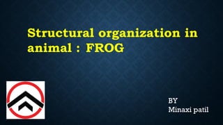 Structural organization in
animal : FROG
BY
Minaxi patil
 