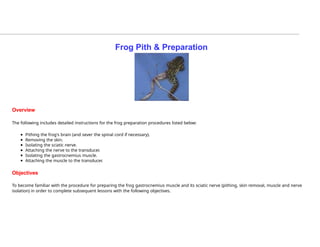 Frog pith.pptxbsbsbsbsbsbbsbsbebebsbsbsbshbd | PPTX