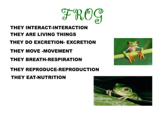 FROG
THEY INTERACT-INTERACTION
THEY ARE LIVING THINGS
THEY DO EXCRETION- EXCRETION
THEY MOVE -MOVEMENT
THEY BREATH-RESPIRATION

THEY REPRODUCE-REPRODUCTION
THEY EAT-NUTRITION
 