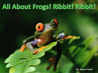 All About Frogs! Ribbit! Ribbit! By: Alyssa Tyree 