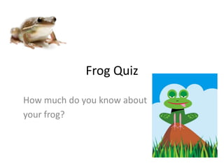 Frog Quiz How much do you know about  your frog? 