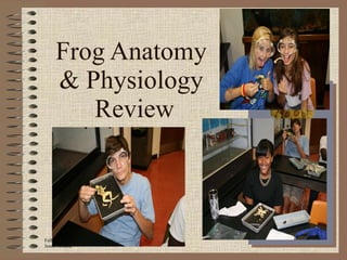 Frog Anatomy  & Physiology  Review 