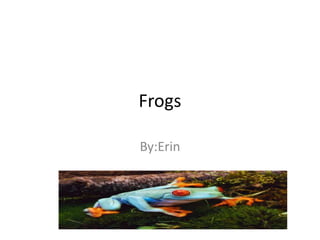 Frogs

By:Erin
 