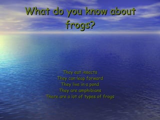 What do you know about frogs? They eat insects They can leap forward They live in a pond They are amphibians There are a lot of types of frogs 