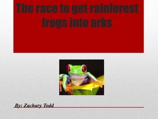 The race to get rainforest
     frogs into arks




By: Zachary Todd
 