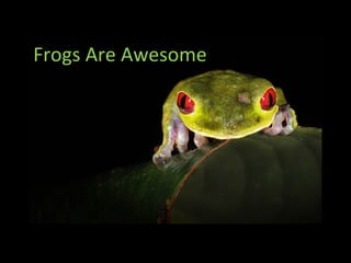 Frogs Are Awesome
 