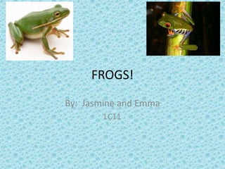 FROGS! By:  Jasmine and Emma  LC11 