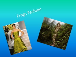 Frogs Fashion  